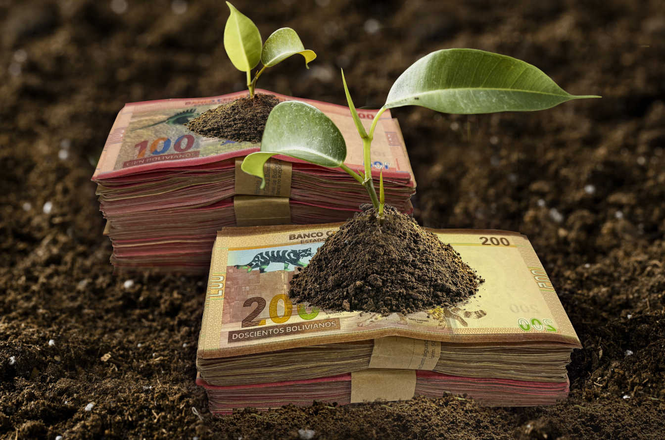 Imagen de servicios